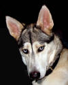 Zoey 2