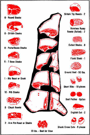Beef Cuts Chart with average number and types of beef cuts on one side (1/2) of a beef.