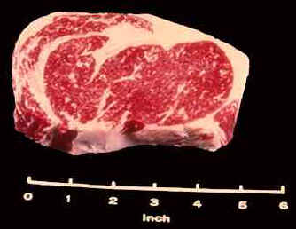 Beef Ribeye Steak Photograph