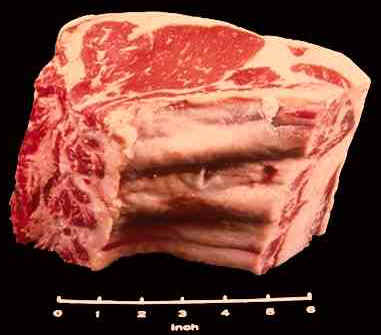 Beef Rib Roast Picture