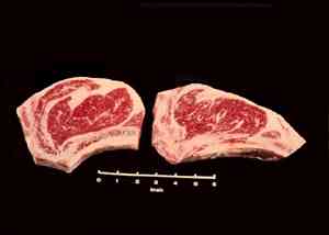 Beef Rib Steak Photograph
