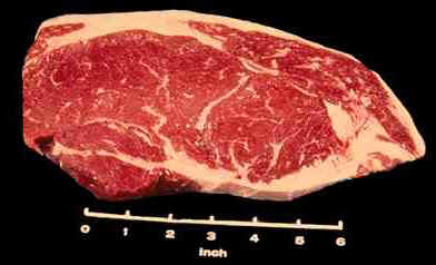 Beef Sirloin Steak - Boneless Photograph