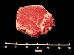 Beef Tenderloin Steak (Filet Mignon) Photograph