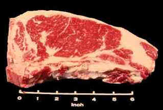 Beef Loin Steak Photograph