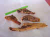 Click on the image here to see a larger, detailed photo of our 100% Natural Hickory Smoked Tendon Chews!