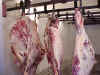 2 Sides of Beef Hanging in Our Cooler!  Just click on the picture to see a larger view.