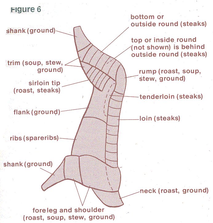 Deer Processing Cut Chart